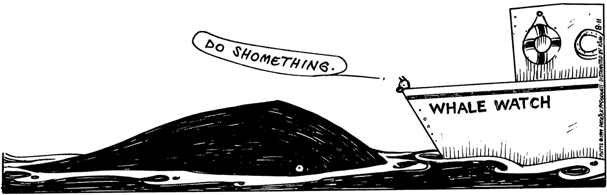 August 11 1999, Daily Comic Strip