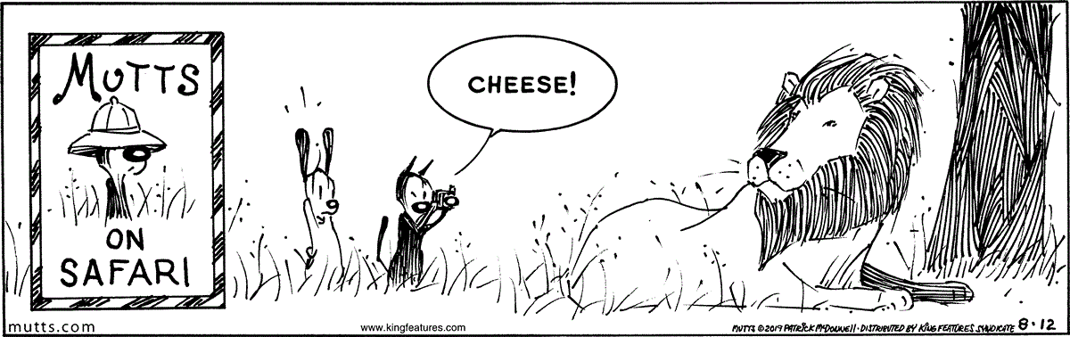 August 12 2019, Daily Comic Strip