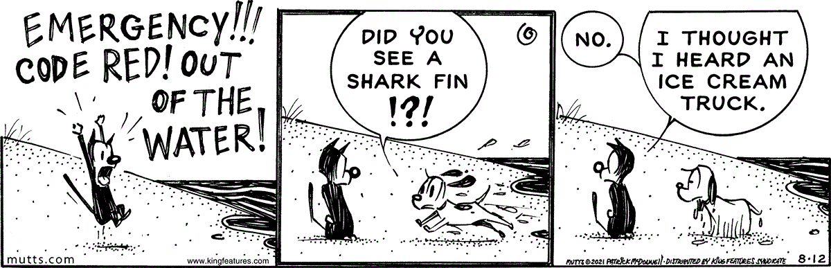 August 12 2021, Daily Comic Strip