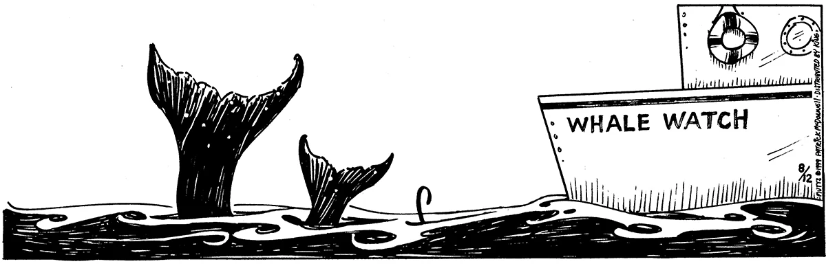 August 12 1999, Daily Comic Strip