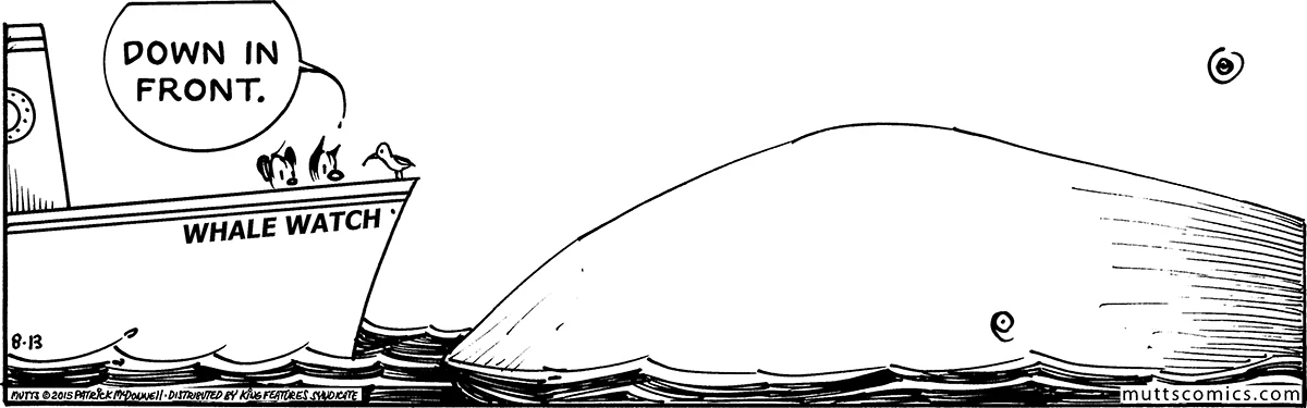 August 13 2015, Daily Comic Strip