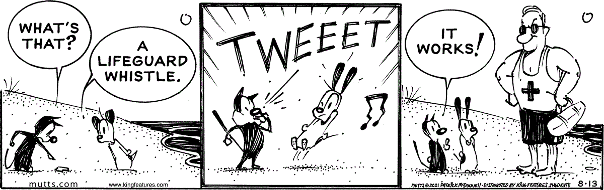 August 13 2021, Daily Comic Strip