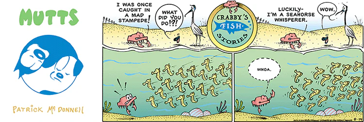 August 14 2016, Sunday Comic Strip