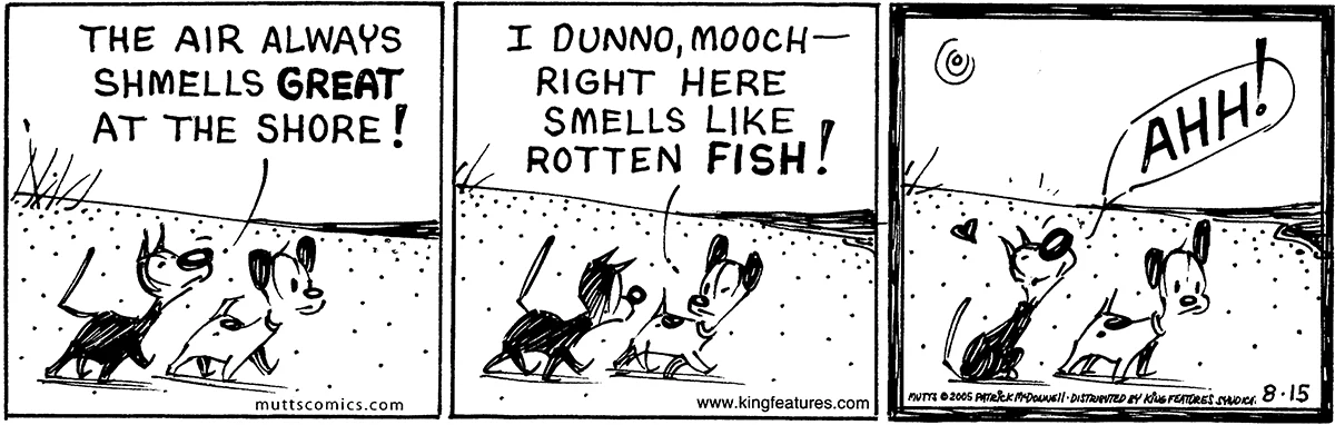 August 15 2005, Daily Comic Strip