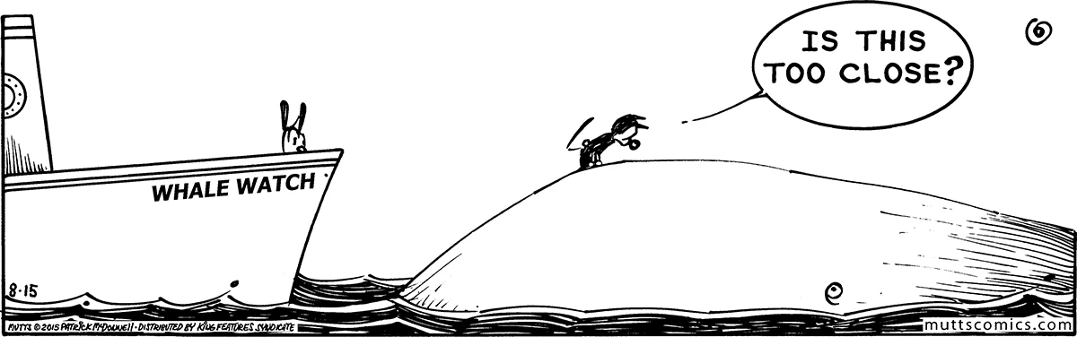 August 15 2015, Daily Comic Strip