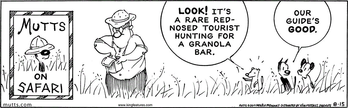 August 15 2019, Daily Comic Strip