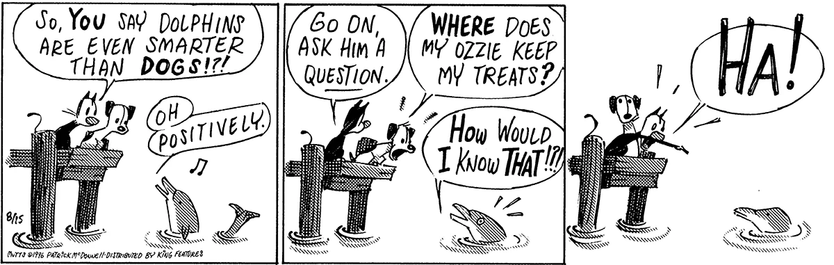 August 15 1996, Daily Comic Strip