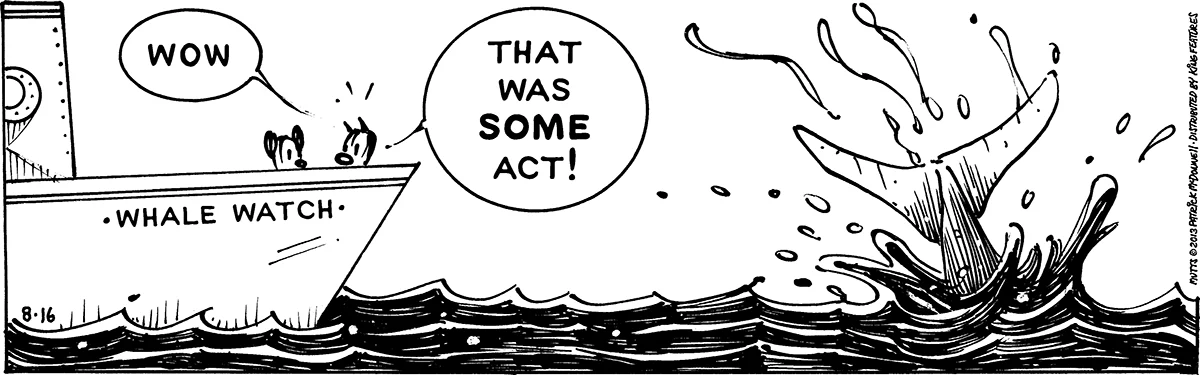 August 16 2013, Daily Comic Strip