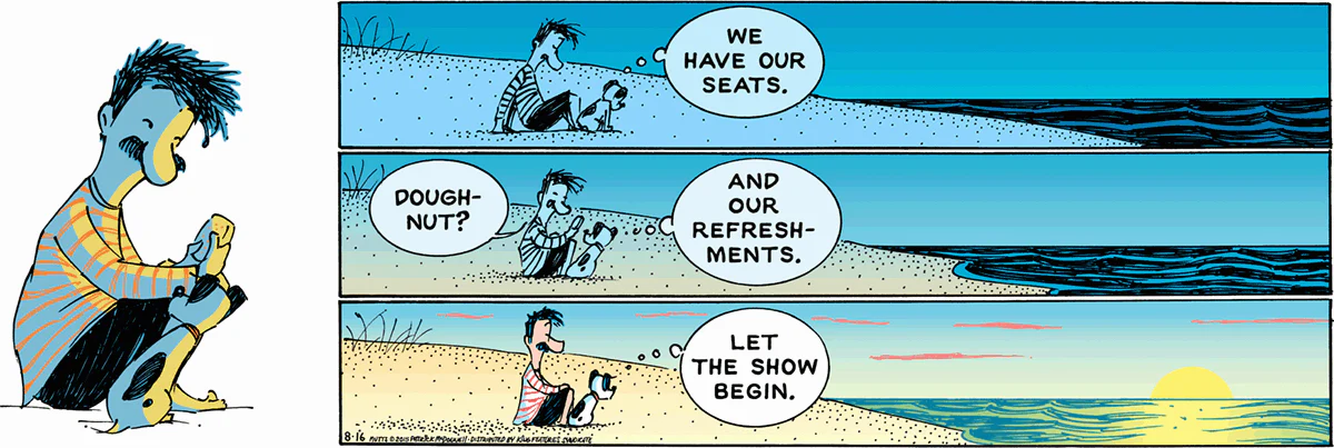 August 16 2015, Sunday Comic Strip