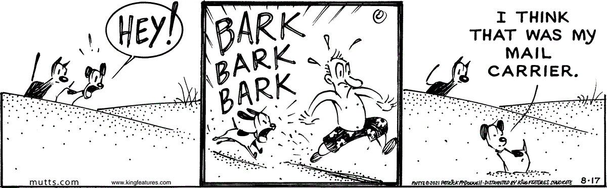 August 17 2021, Daily Comic Strip