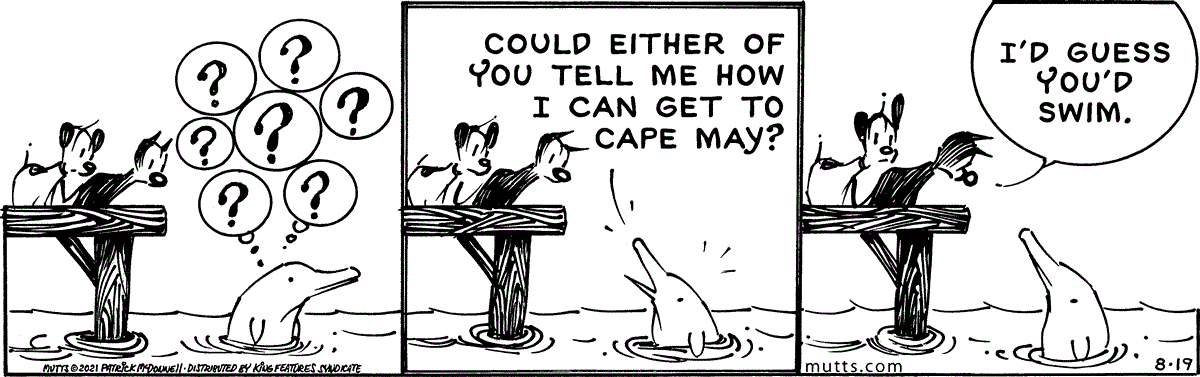 August 19 2021, Daily Comic Strip