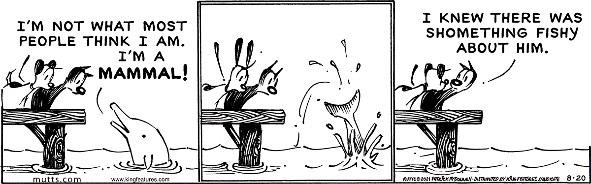 August 20 2021, Daily Comic Strip