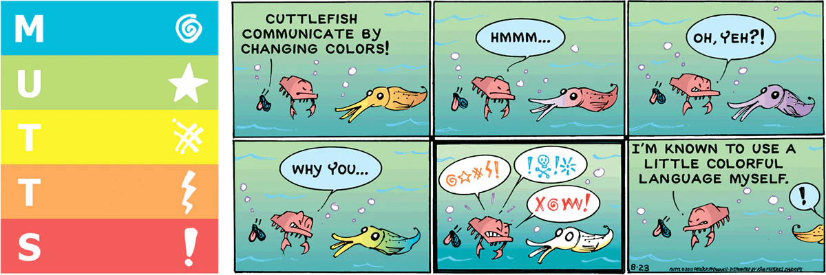 August 23 2015, Sunday Comic Strip