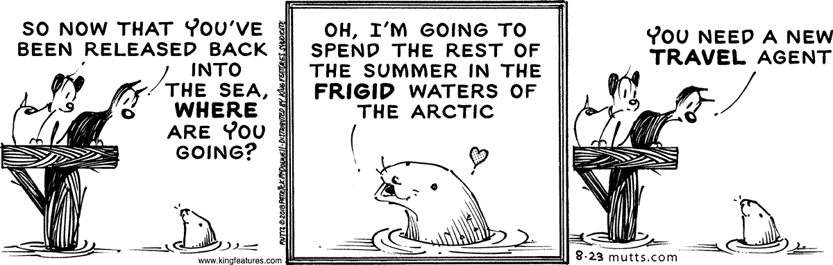 August 23 2018, Daily Comic Strip