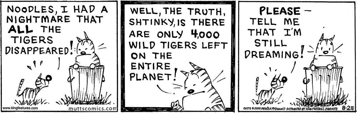 August 25 2008, Daily Comic Strip