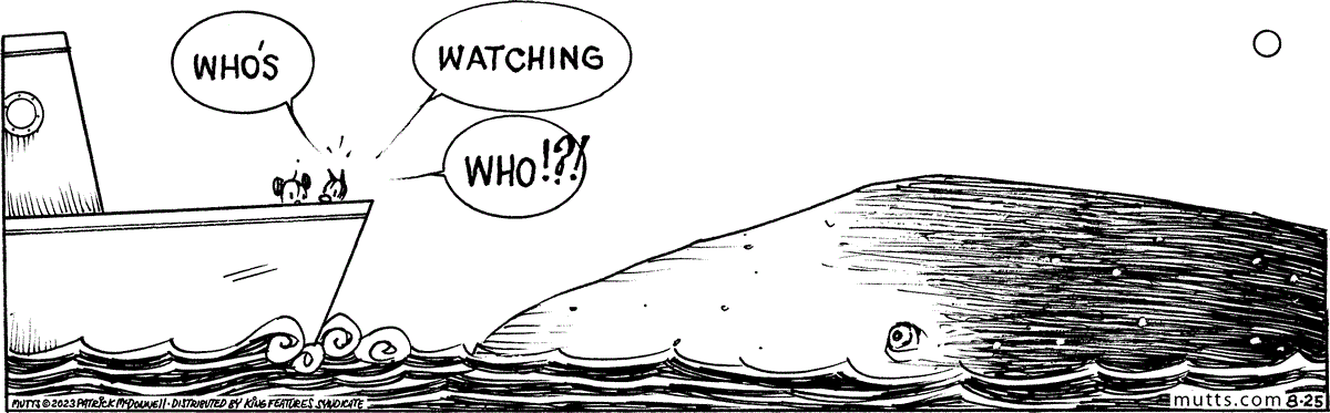 August 25 2023, Daily Comic Strip