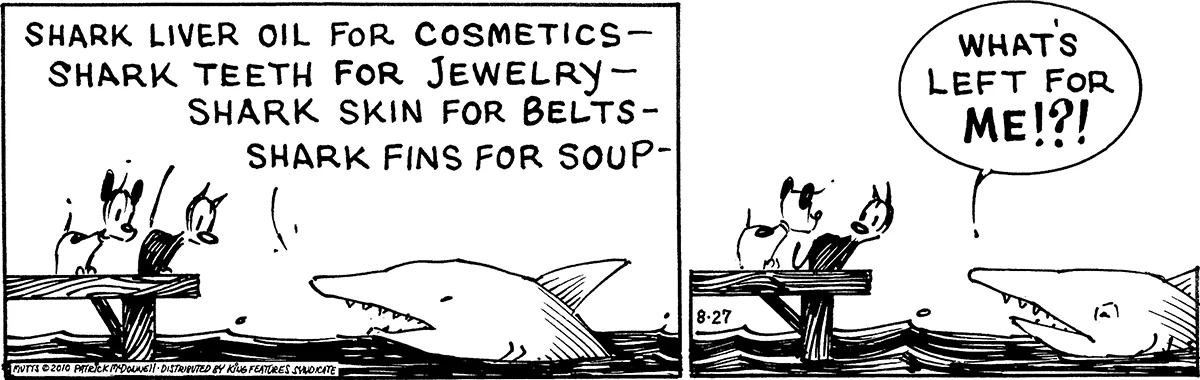 August 27 2010, Daily Comic Strip