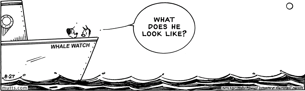 August 27 2019, Daily Comic Strip