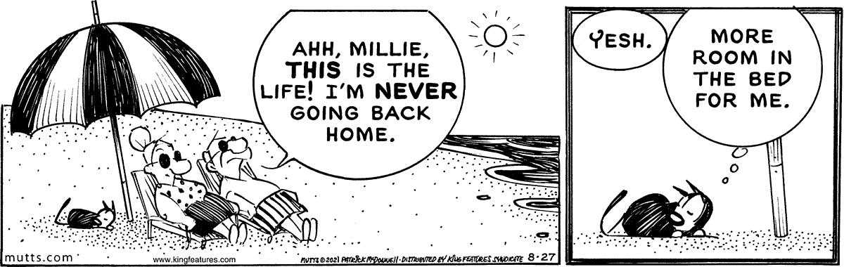 August 27 2021, Daily Comic Strip