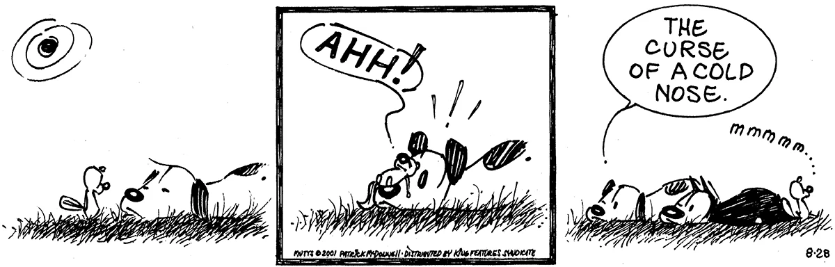 August 28 2001, Daily Comic Strip