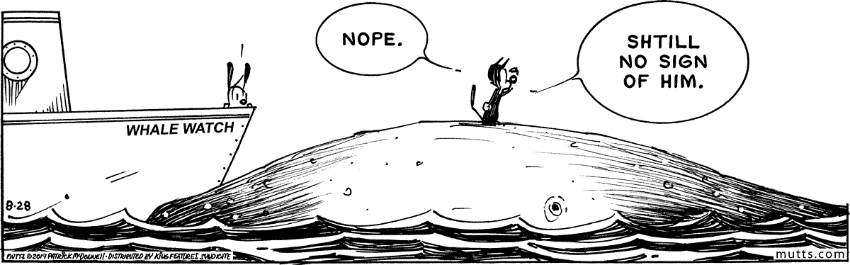 August 28 2019, Daily Comic Strip