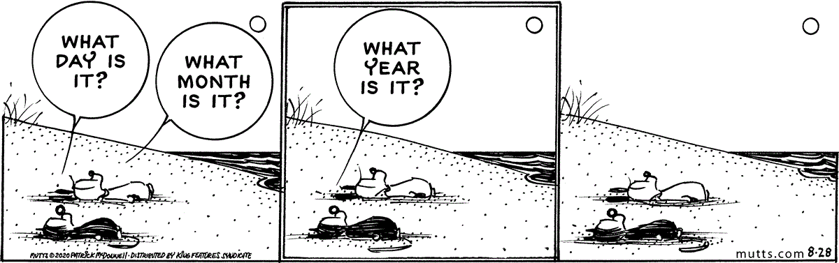 August 28 2020, Daily Comic Strip