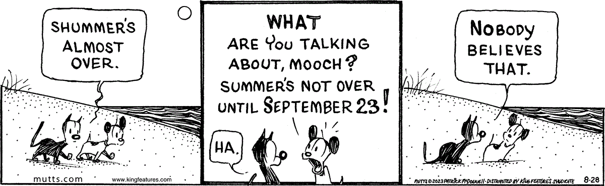 August 28 2023, Daily Comic Strip