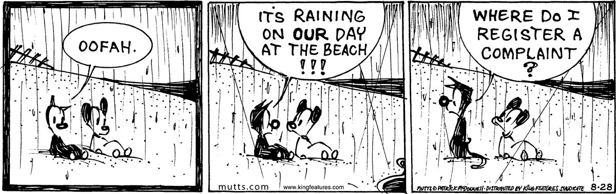 August 28 2024, Daily Comic Strip