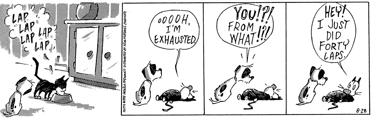 August 28 1995, Daily Comic Strip