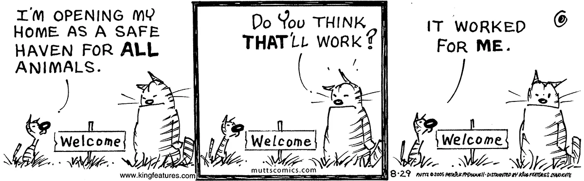 August 29 2005, Daily Comic Strip