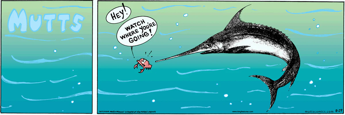 August 29 2010, Sunday Comic Strip