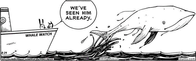 August 29 2016, Daily Comic Strip