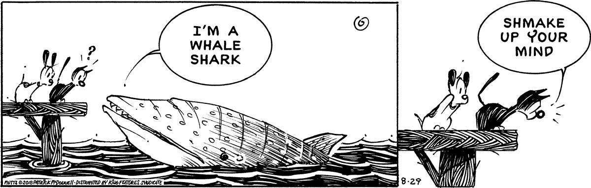 August 29 2018, Daily Comic Strip
