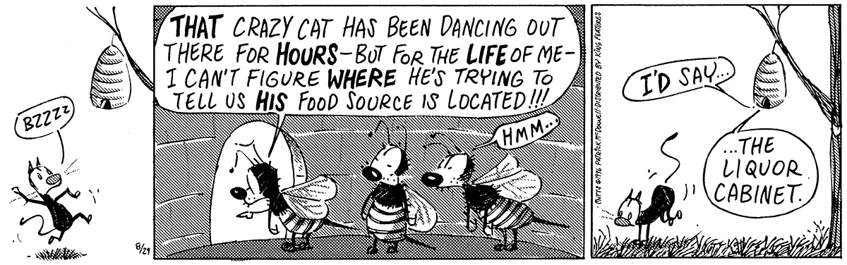 August 29 1996, Daily Comic Strip