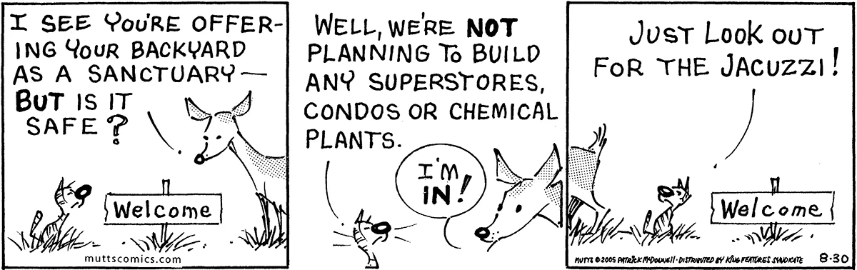 August 30 2005, Daily Comic Strip
