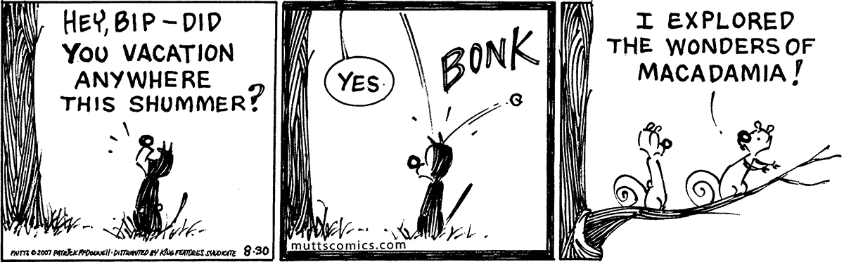 August 30 2007, Daily Comic Strip
