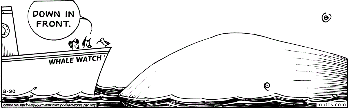 August 30 2021, Daily Comic Strip