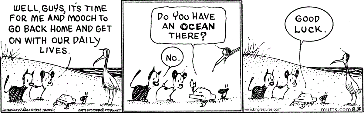 August 30 2023, Daily Comic Strip