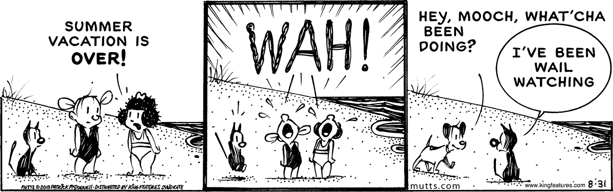 August 31 2018, Daily Comic Strip