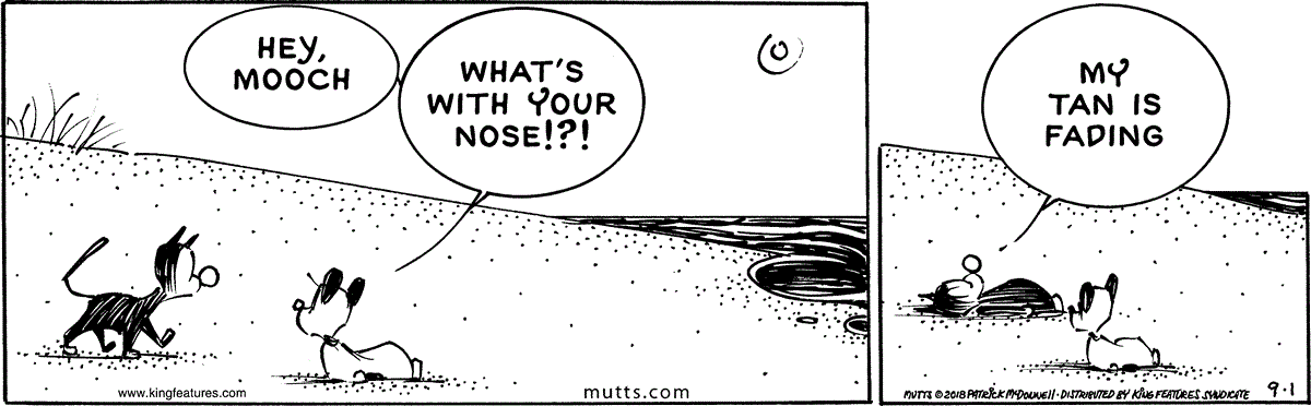 September 1 2018, Daily Comic Strip