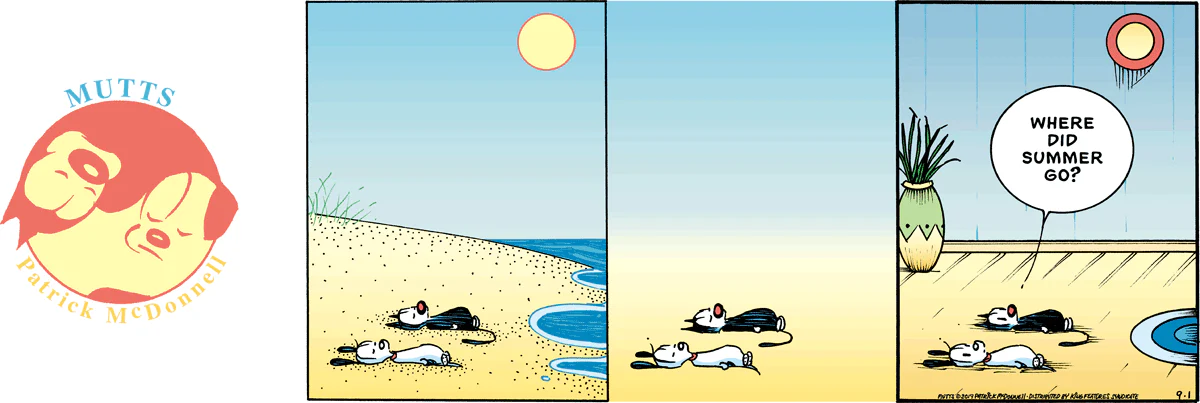 September 1 2019, Sunday Comic Strip
