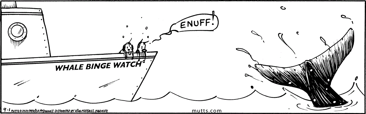 September 1 2020, Daily Comic Strip