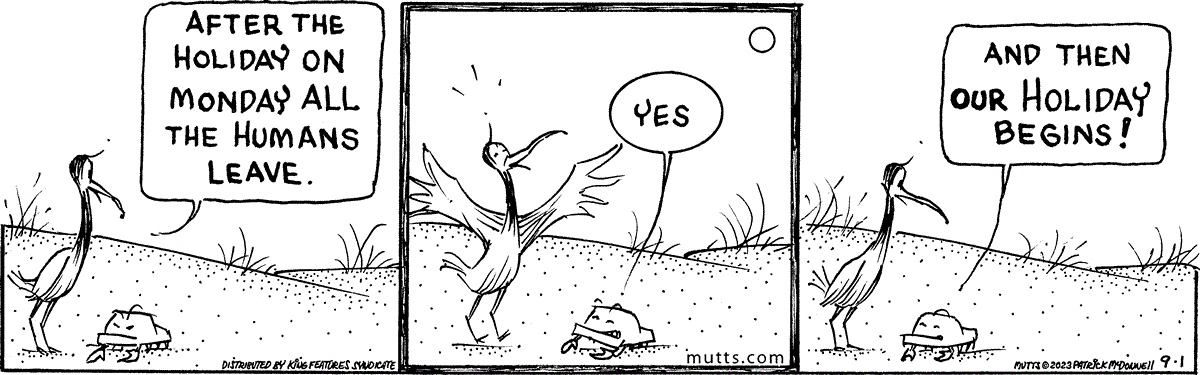September 1 2023, Daily Comic Strip