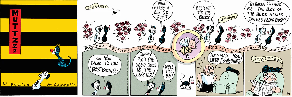 September 1 1996, Sunday Comic Strip