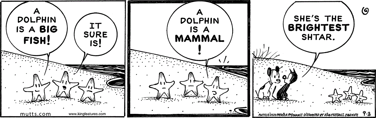 September 3 2020, Daily Comic Strip