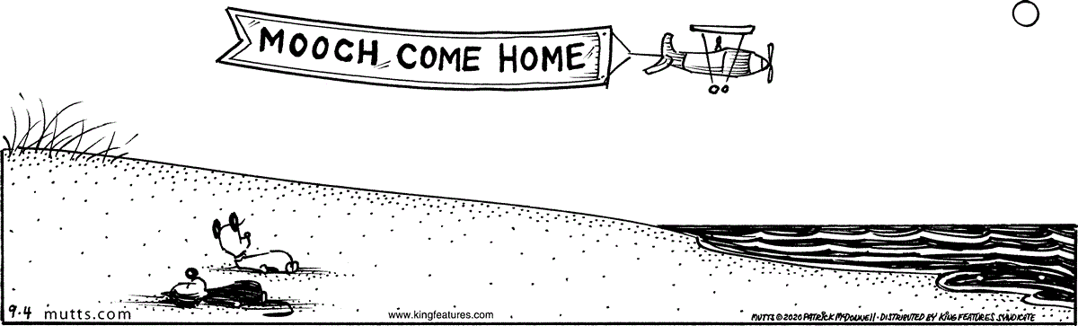 September 4 2020, Daily Comic Strip