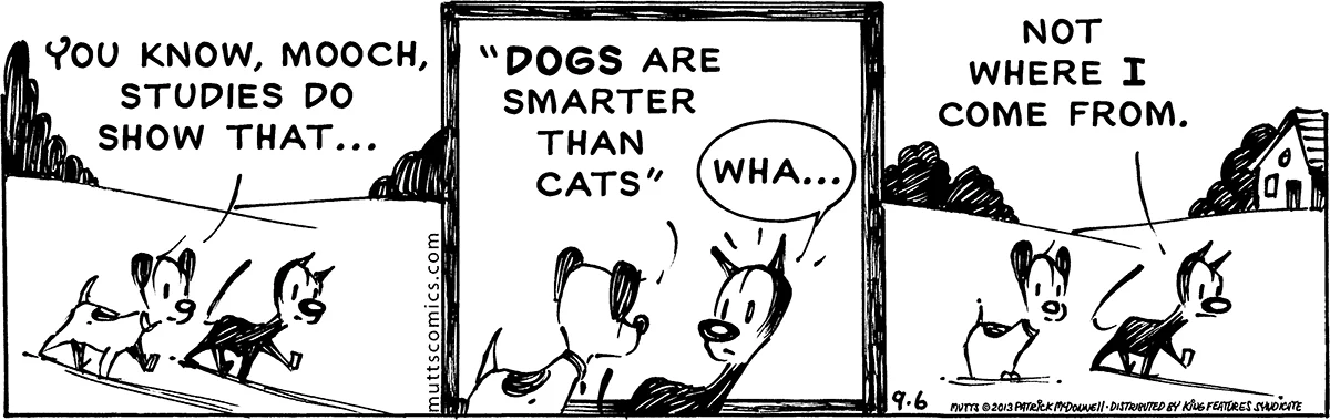 September 6 2013, Daily Comic Strip