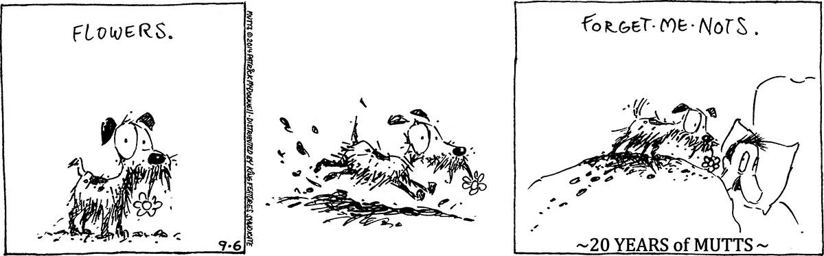 September 6 2014, Daily Comic Strip