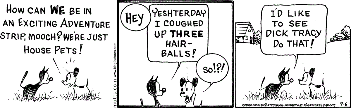 September 6 2023, Daily Comic Strip