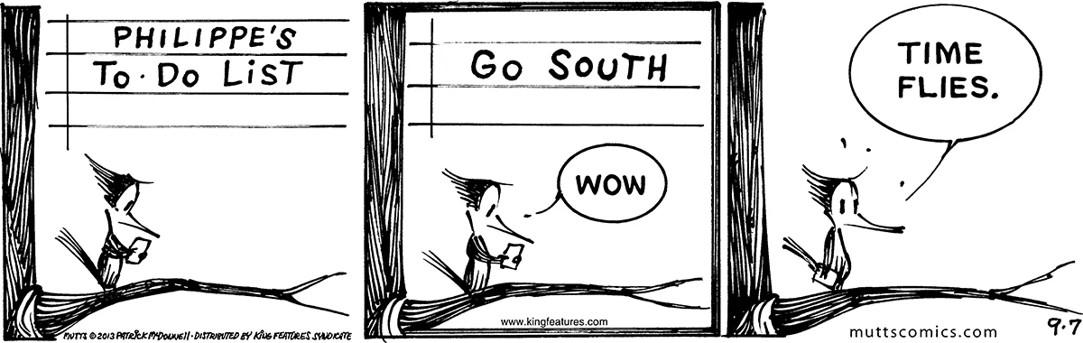 September 7 2013, Daily Comic Strip